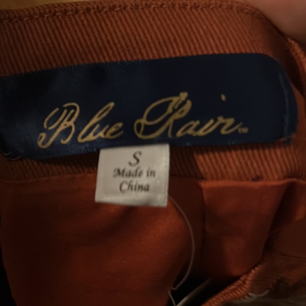 Blue Rain Rust Embroidered Skirt - Picture 3 of 4